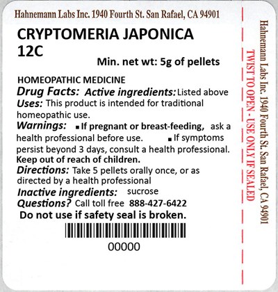 Cryptomeria Japonica 12C 5g.jpg Cryptomeria Japonica 12C 5g - Cryptomeria Japonica 12C 5g